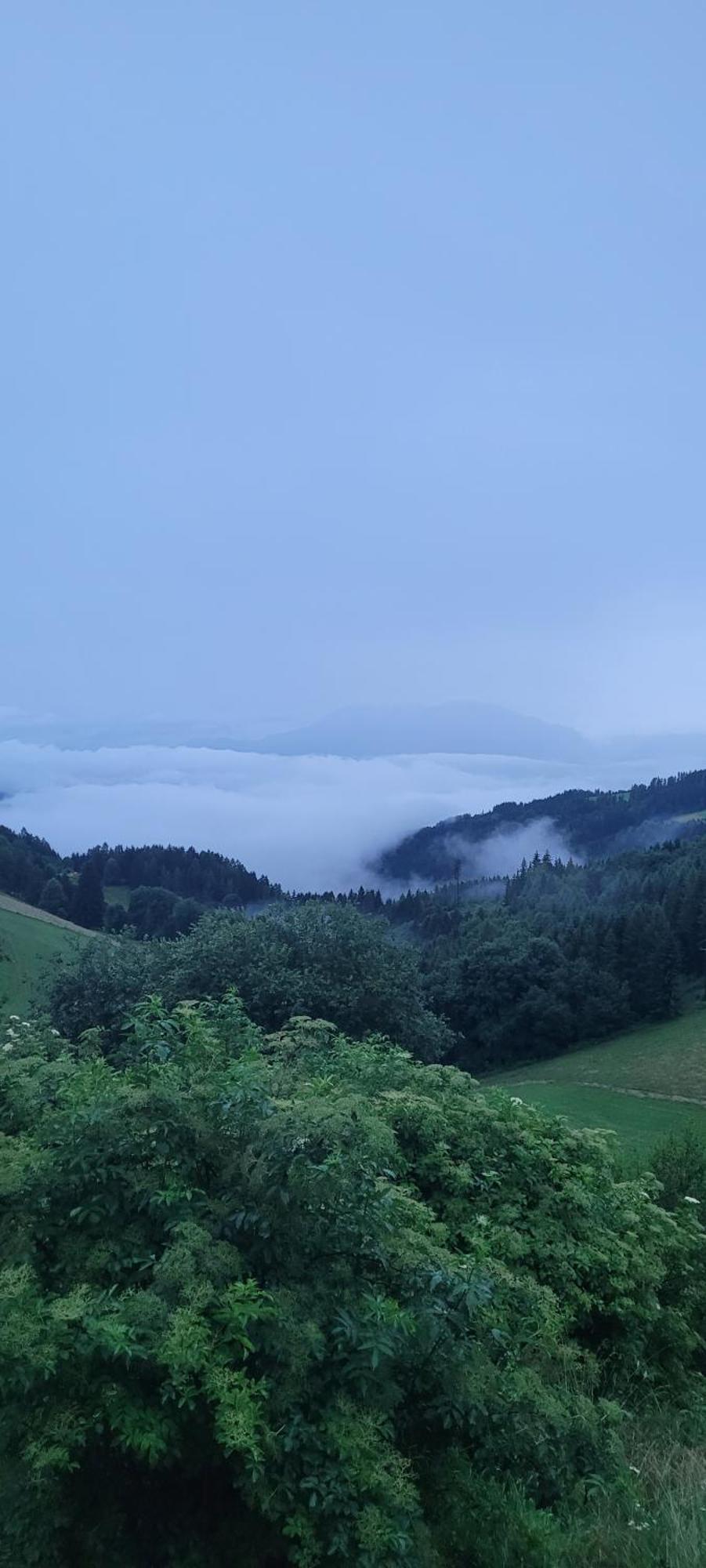 Gasthof Machwirth Griffen Luaran gambar