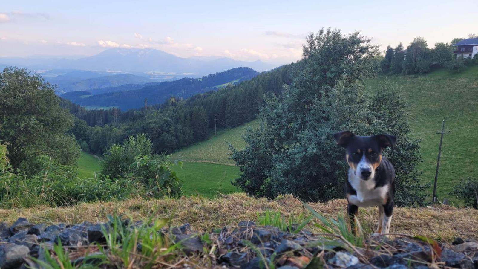 Gasthof Machwirth Griffen Luaran gambar